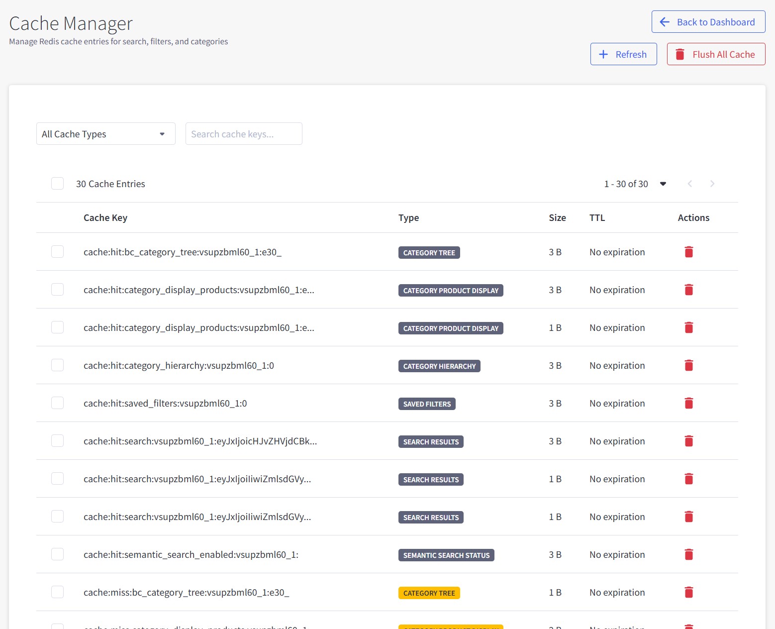 Cache Manager Interface